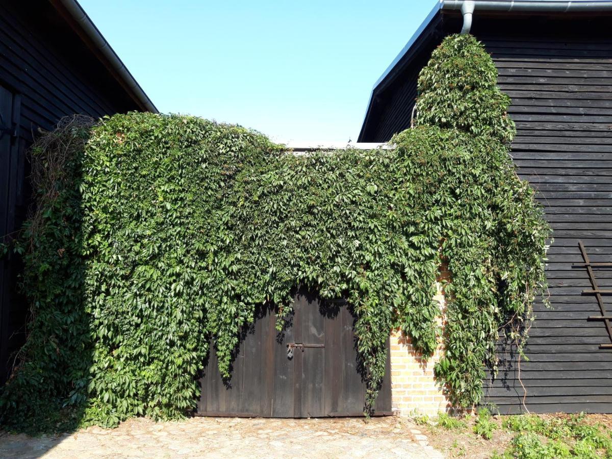 Ein Bett Im Kornfeld - Haus Morgensonne - Mit Innenpool Schonfeld  Exterior photo
