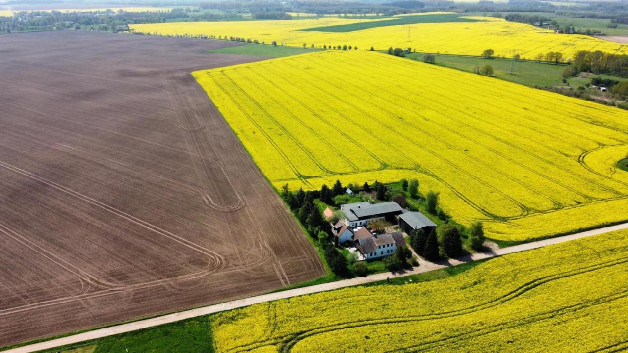 Ein Bett Im Kornfeld - Haus Morgensonne - Mit Innenpool Schonfeld  Exterior photo